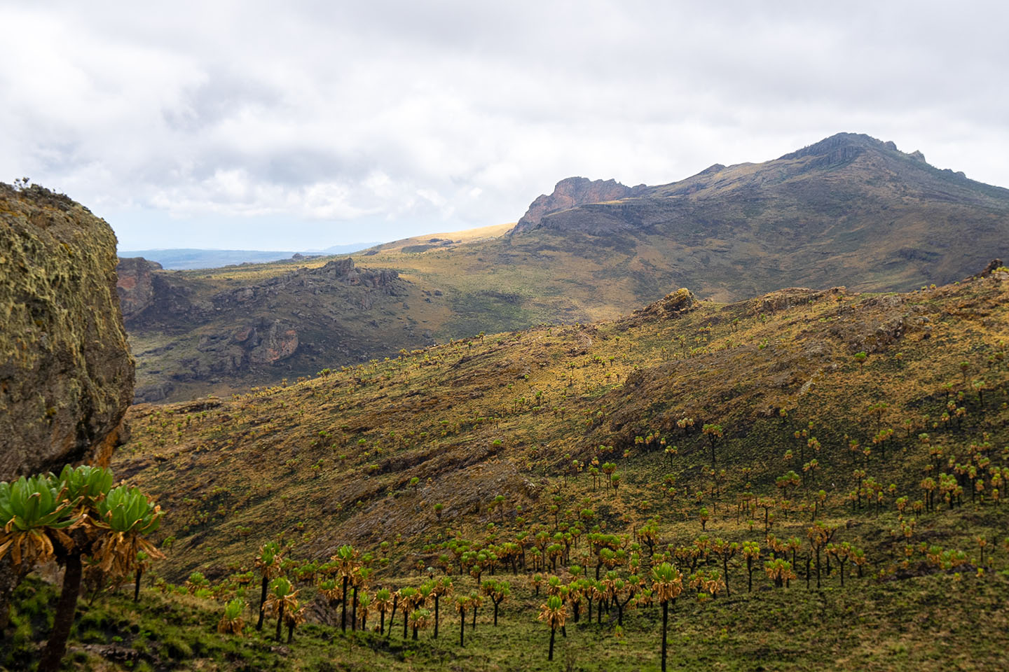 Elgon-mountain-hike-to-wagagai