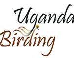 Uganda Birding