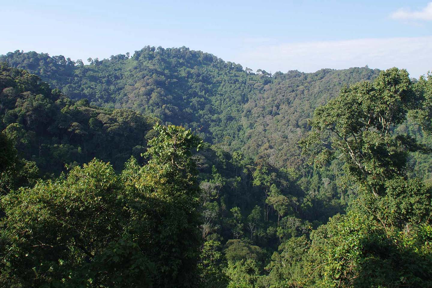 bwindi-national-park