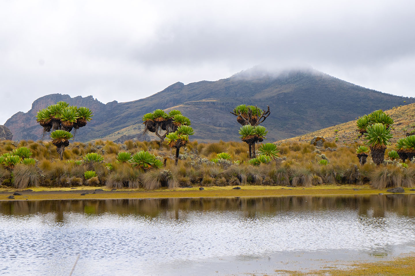 elgon-mountain-hiking