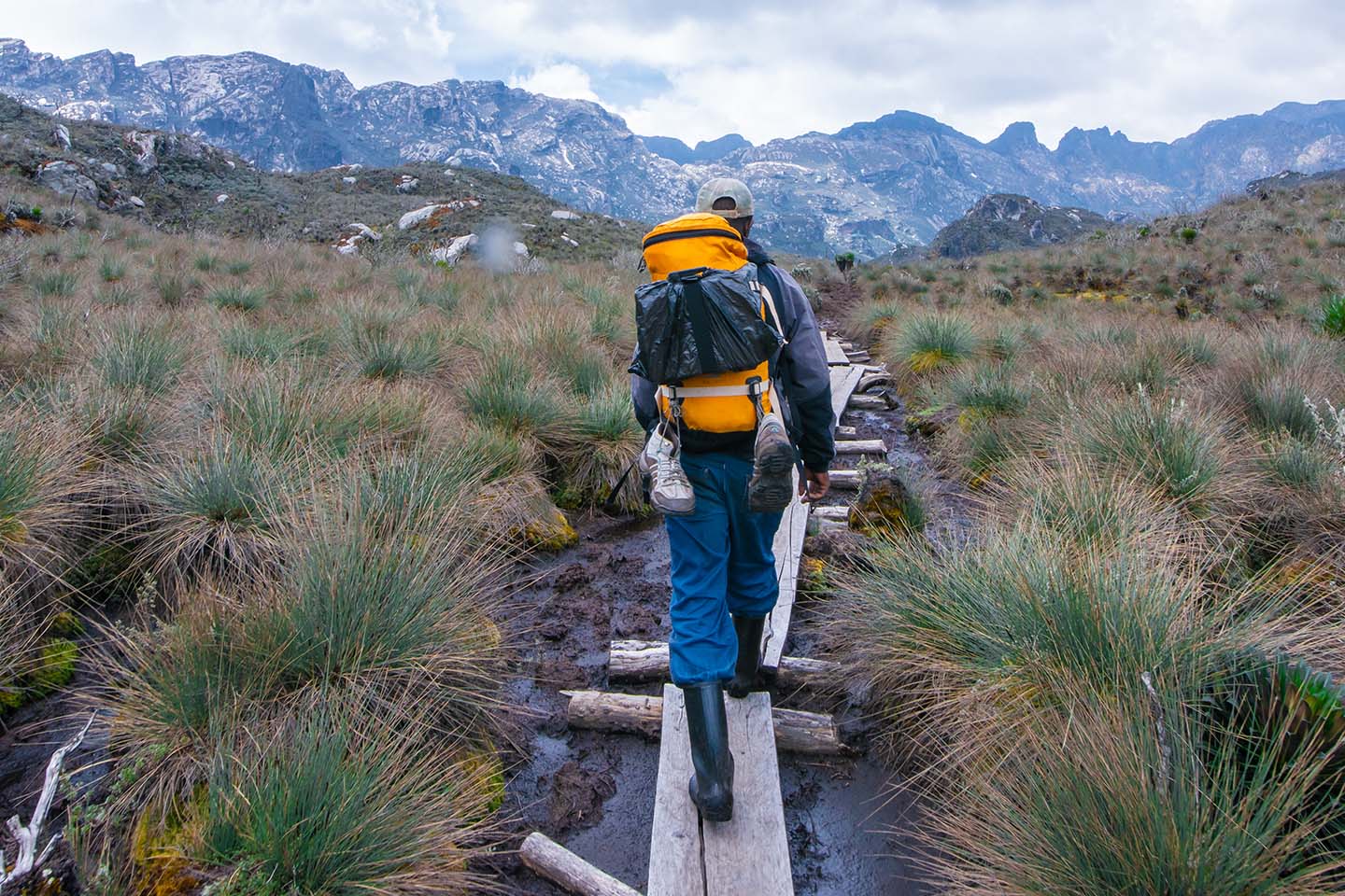 hike-to-rwenzori-mountain-magherita-peak