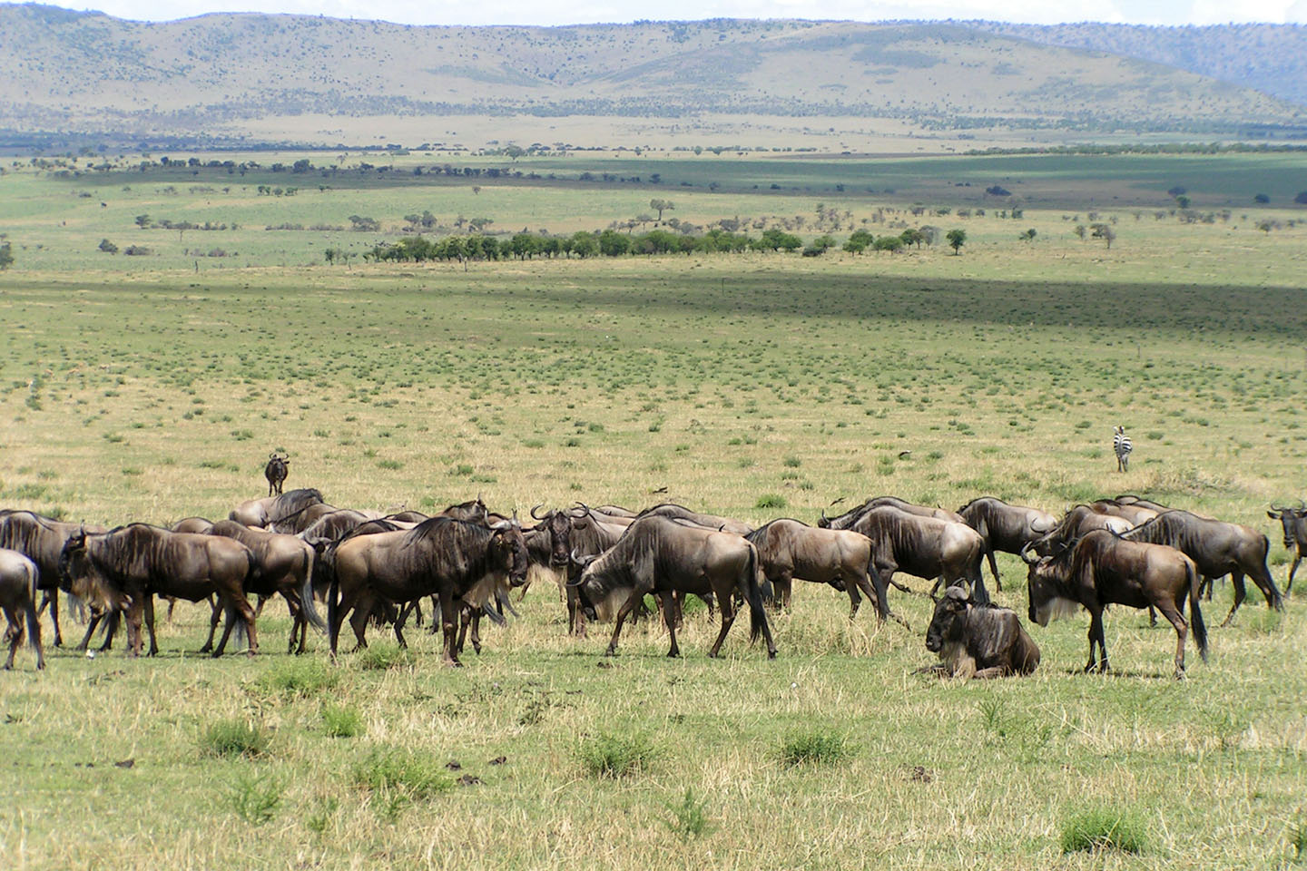 masai-mara-national-park-02