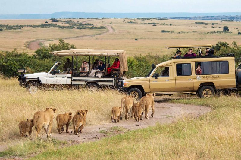 Kenya-the-land-of-adventures-game-drive